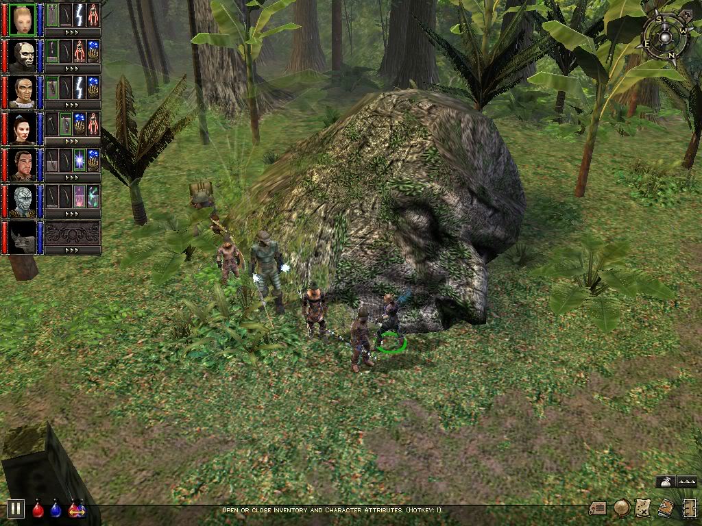 Dungeon Siege screenshot, six characters look at a giant buried mossy head in the middle of a forest.